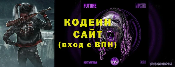 ПСИЛОЦИБИНОВЫЕ ГРИБЫ Горно-Алтайск