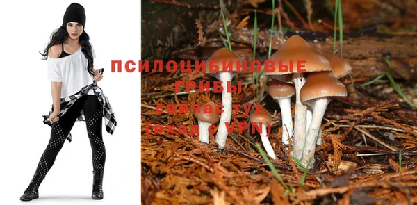 а пвп мука Горняк
