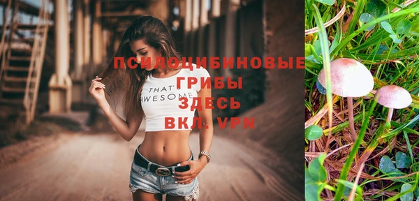 сатива Горнозаводск