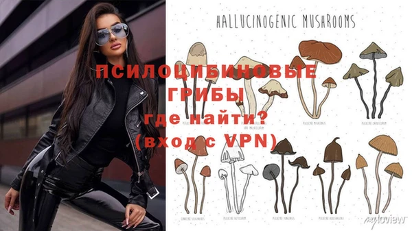 а пвп мука Горняк