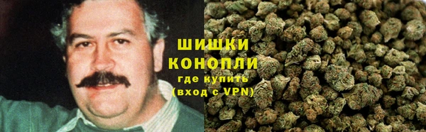 круглые Вяземский