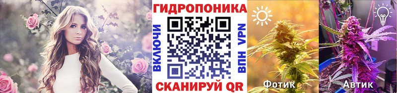 Бошки Шишки индика  купить наркоту  omg вход  Зеленоградск 